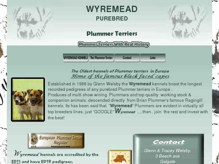 www.wyremeadplummerterriers.com