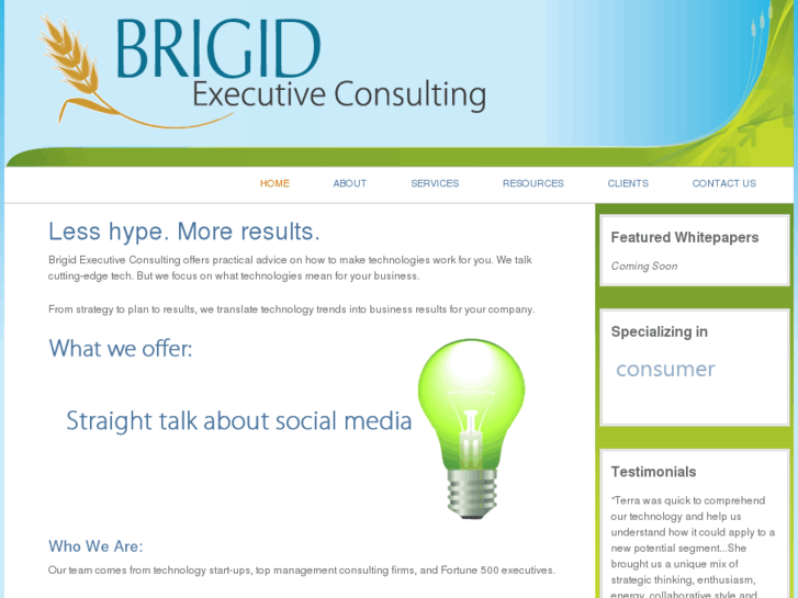 www.brigidconsulting.com