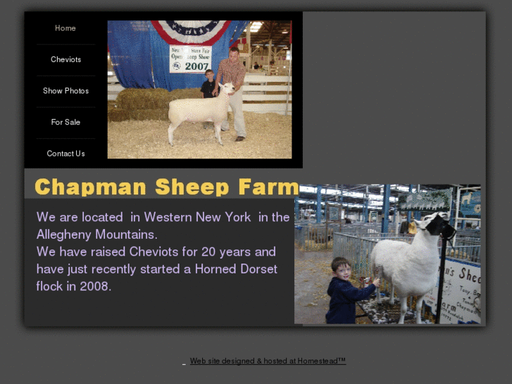 www.chapmansheepfarm.com