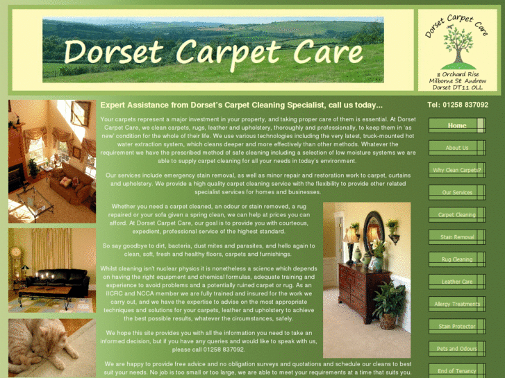 www.dorsetcarpetcare.com