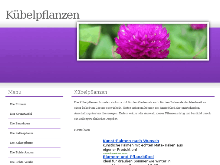 www.kuebelpflanzen.org