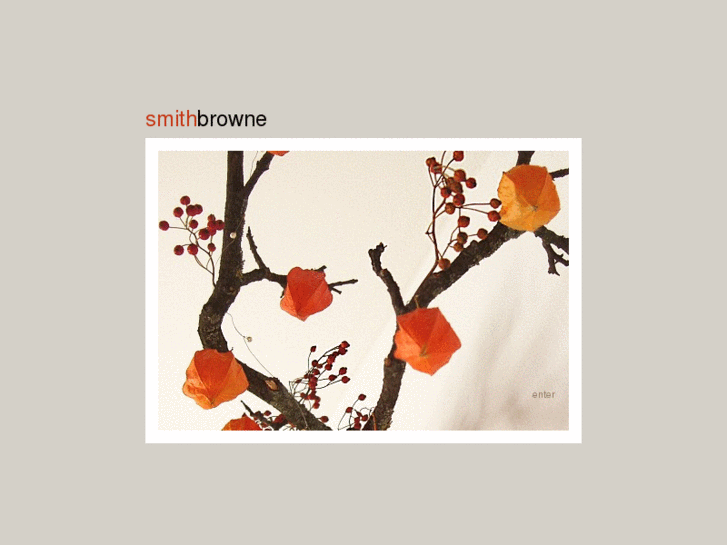 www.smithbrowne.com