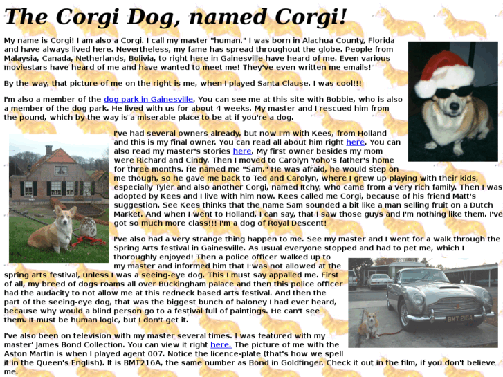 www.aboutcorgi.com