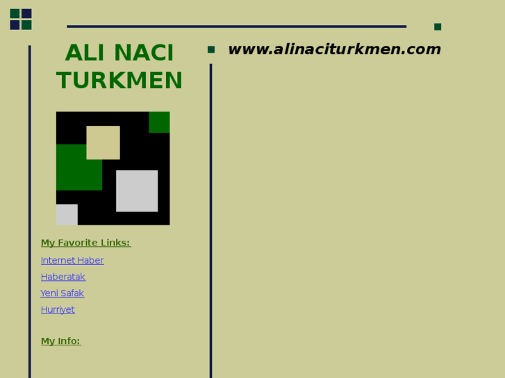 www.alinaciturkmen.com