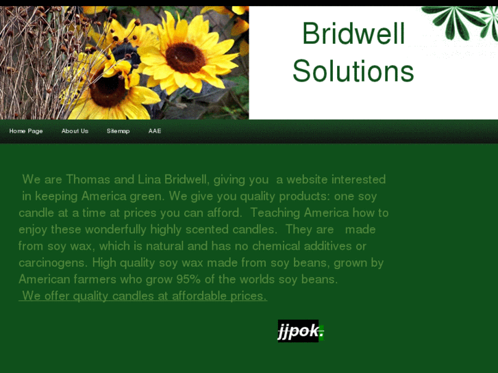 www.bridwellsolutions.com