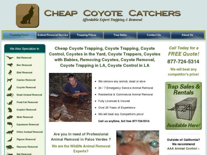 www.cheapcoyotetrapping.com