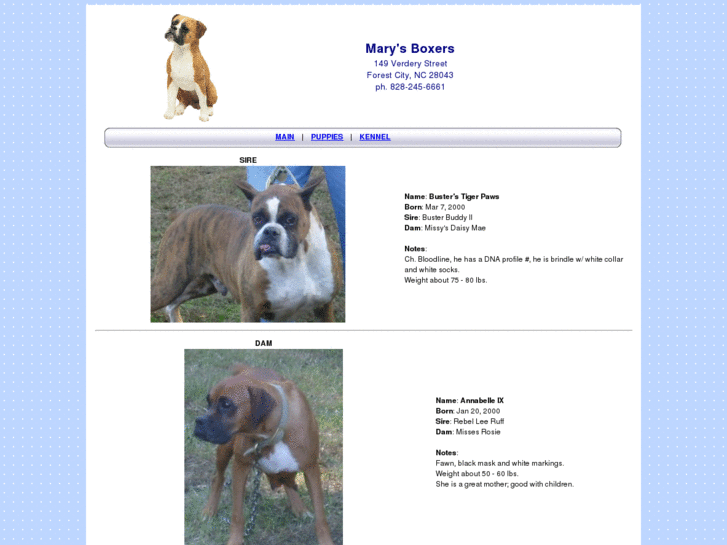 www.marysboxers.com