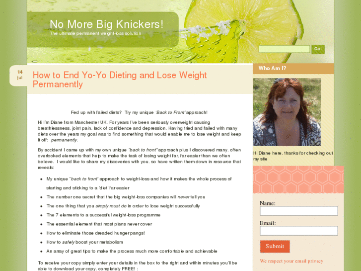 www.nomorebigknickers.com