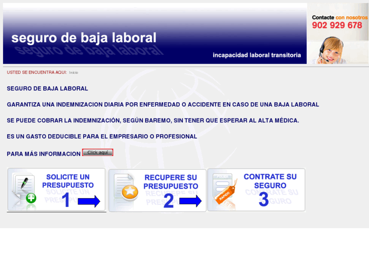 www.segurodebajalaboral.com