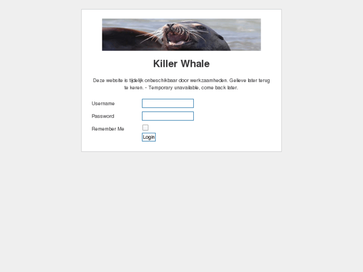 www.whales.nl