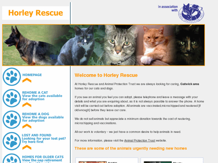 www.horleyrescue.com