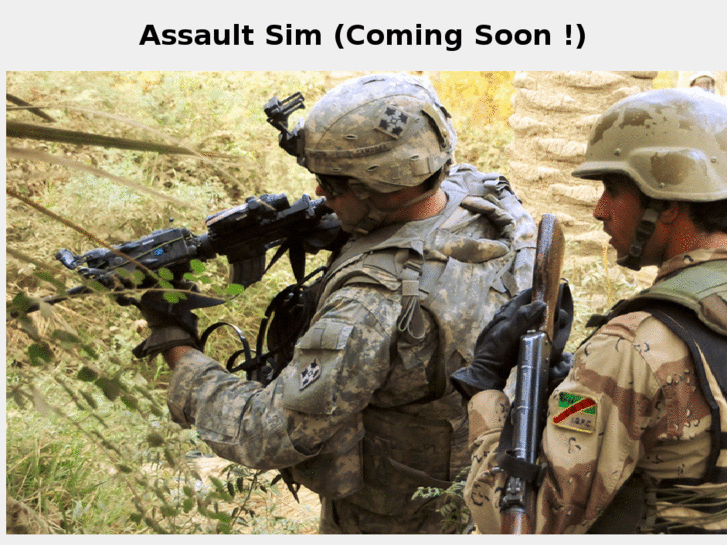 www.assaultsim.com