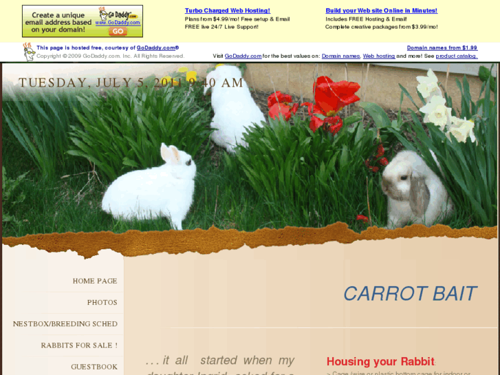 www.carrotbait.com