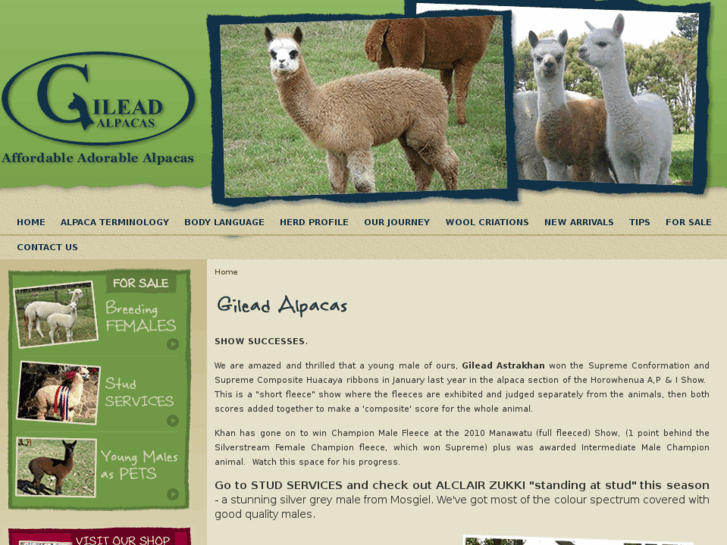 www.gileadalpacas.co.nz