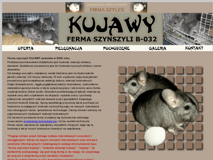 www.szynszyle-kujawy.com