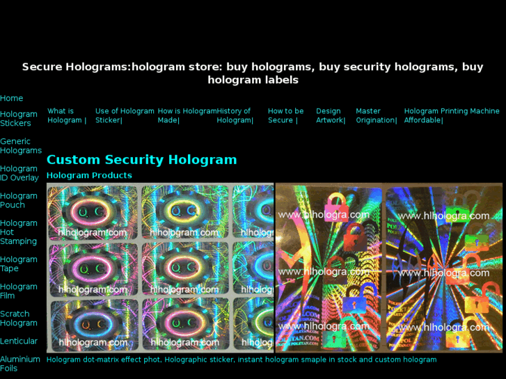 www.thehologram.biz