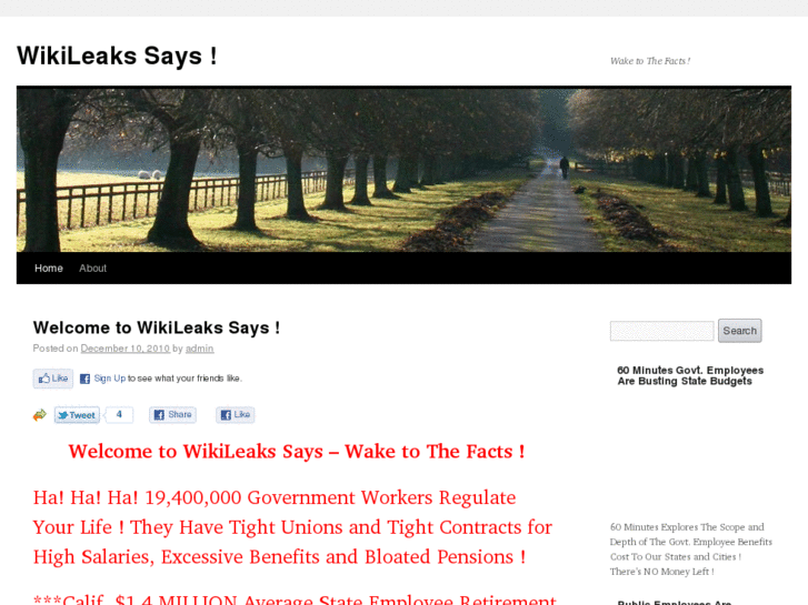 www.wikileakssays.info