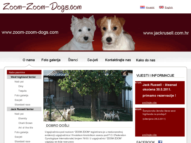 www.zoom-zoom-dogs.com