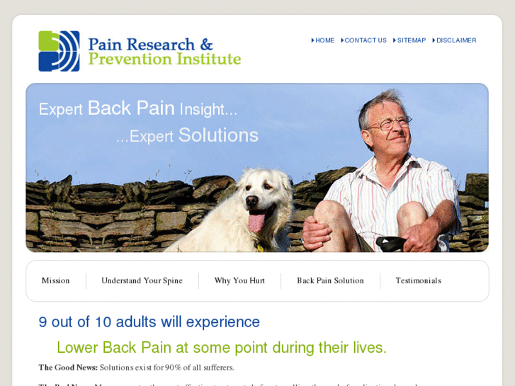 www.expertbackpainsolutions.com