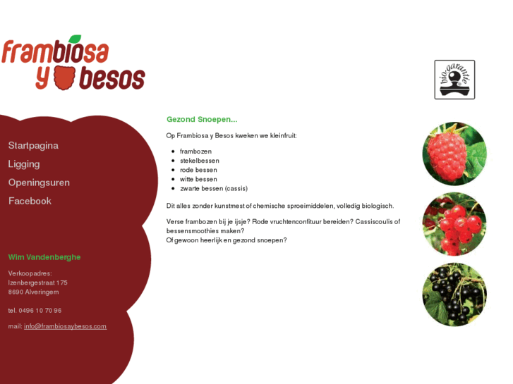 www.frambiosaybesos.com