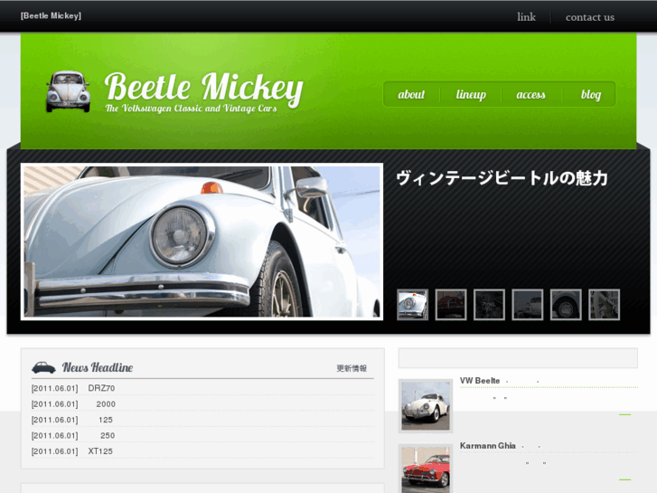 www.beetle-mickey.com