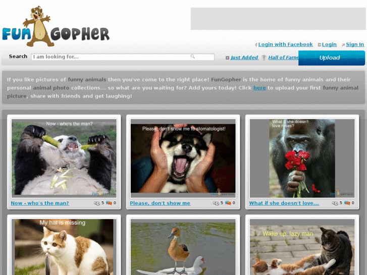 www.fungopher.com