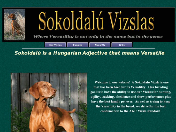 www.sokoldaluvizslas.com