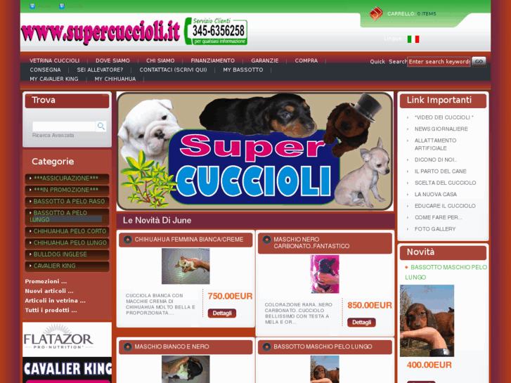 www.supercucciolo.com