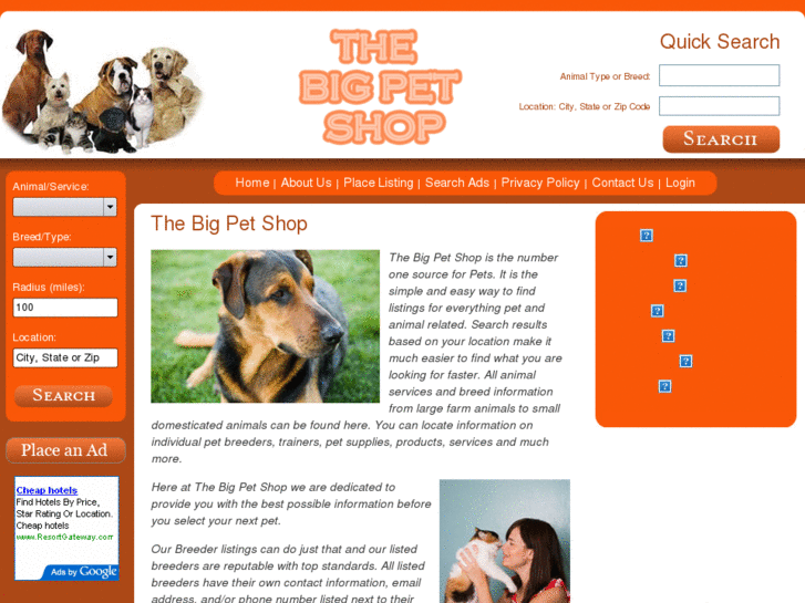 www.thebigpetshop.com
