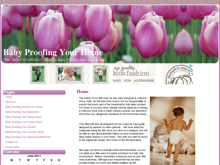 www.babyproofingguide.com