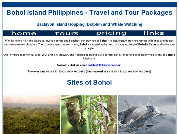 www.boholtourguide.com