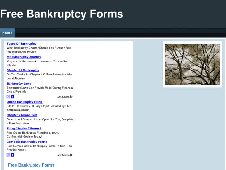 www.freebankruptcyforms.org