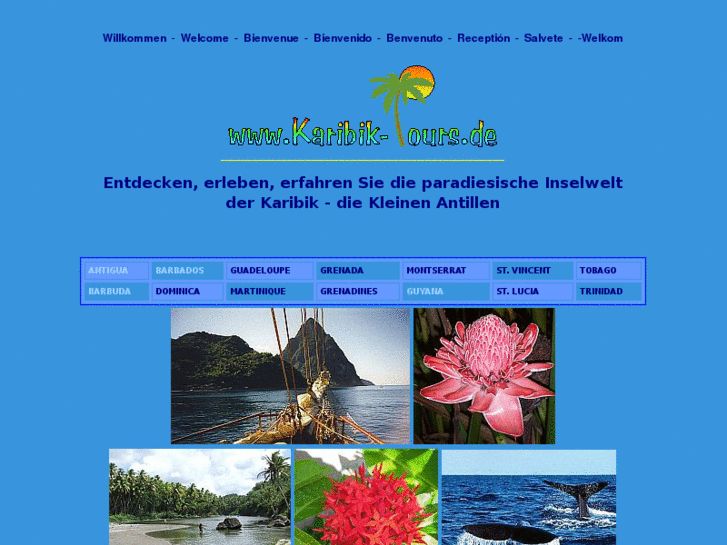 www.karibik-tours.de