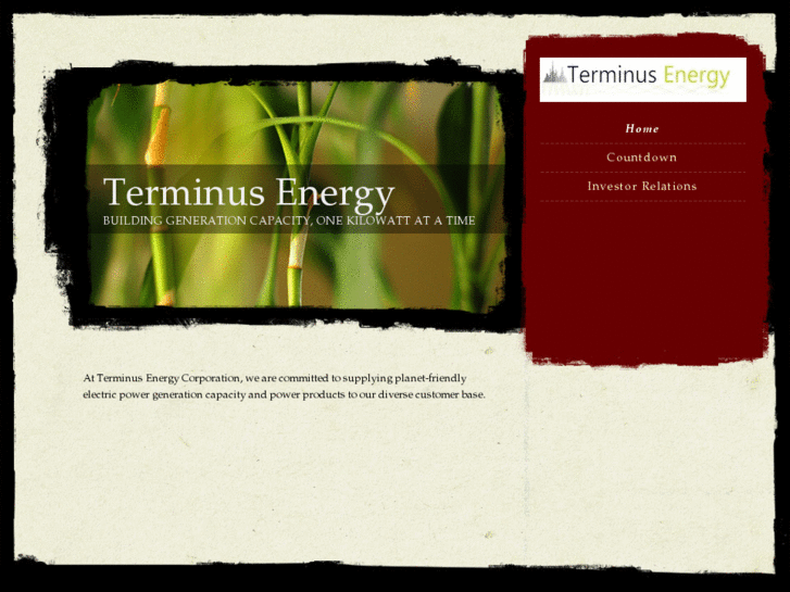 www.terminusenergy.com