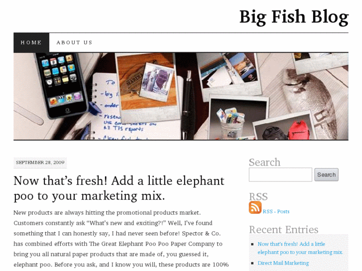 www.thebigfishblog.com