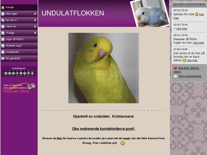 www.undulatflokken.net