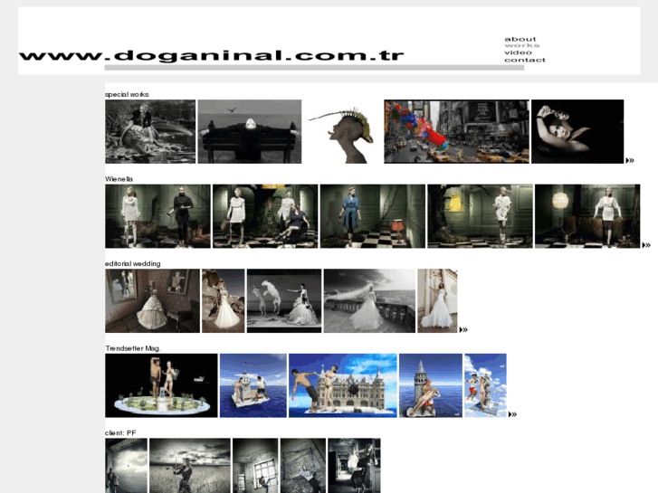 www.doganinal.com.tr