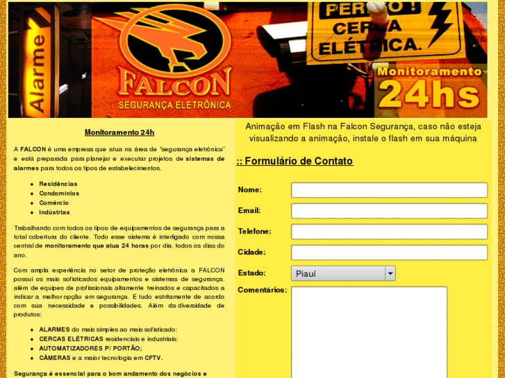 www.falconseguranca.com