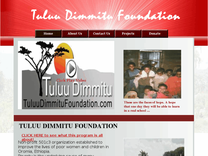 www.tuluudimmitufoundation.com