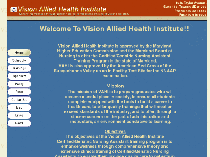 www.visionalliedinstitute.org