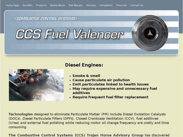 www.ccs-ev.com