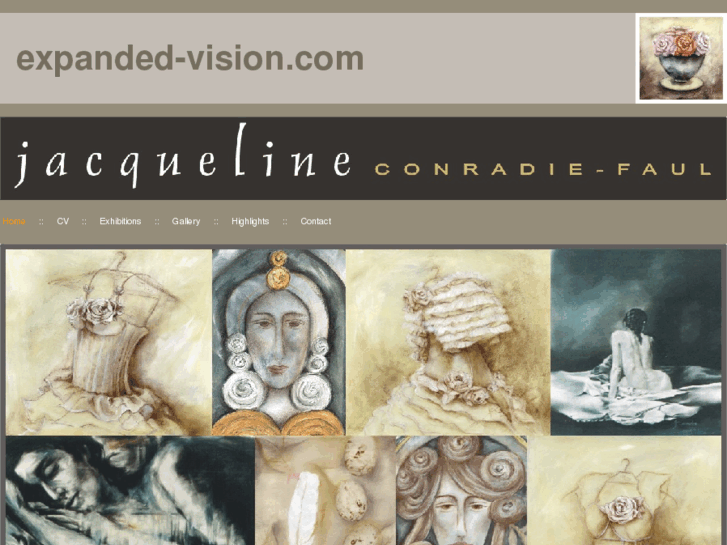 www.expanded-vision.com
