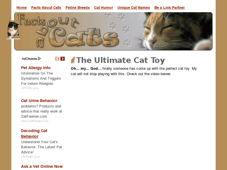 www.facts-about-cats.com