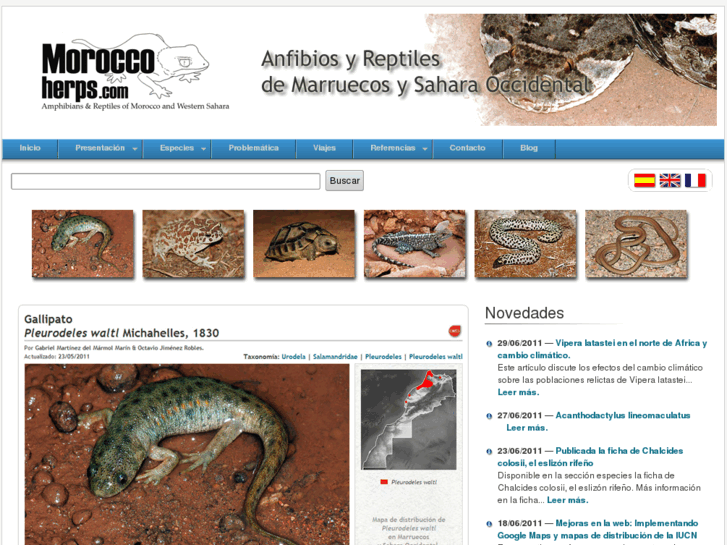 www.moroccoherps.com