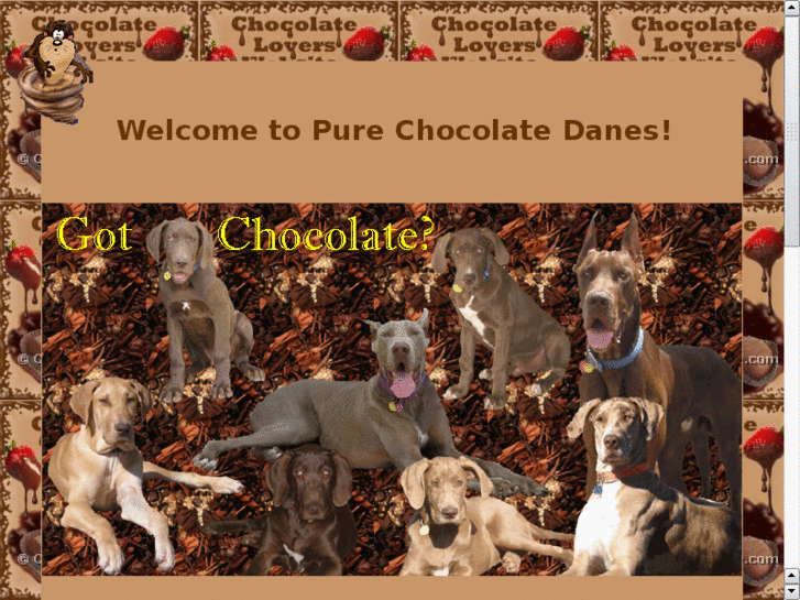 www.purechocolatedanes.com