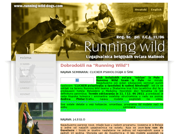 www.running-wild-dogs.com