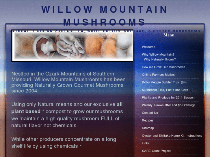 www.willowmountainmushrooms.com