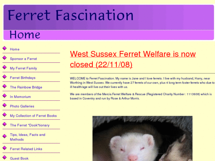 www.ferretfascination.co.uk