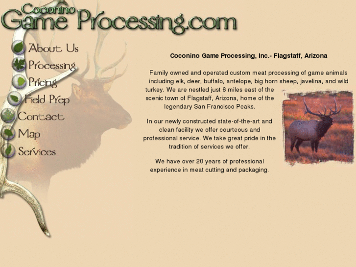 www.gameprocessing.com