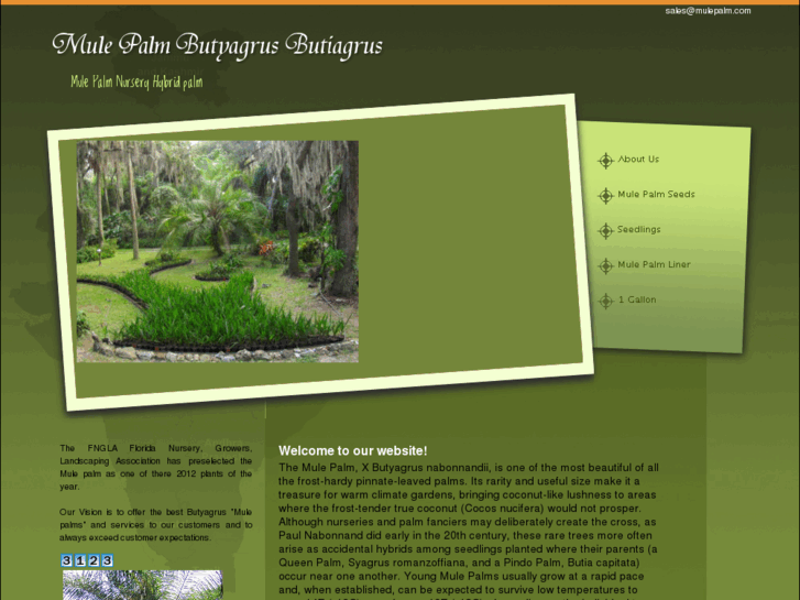 www.mulepalm.com